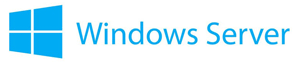 Windows Server Symbol von Microsofrt